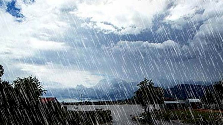 परतीच्या पावसामुळे बळीराजा संकटात, राज्यात आजही पावसाची शक्यता.