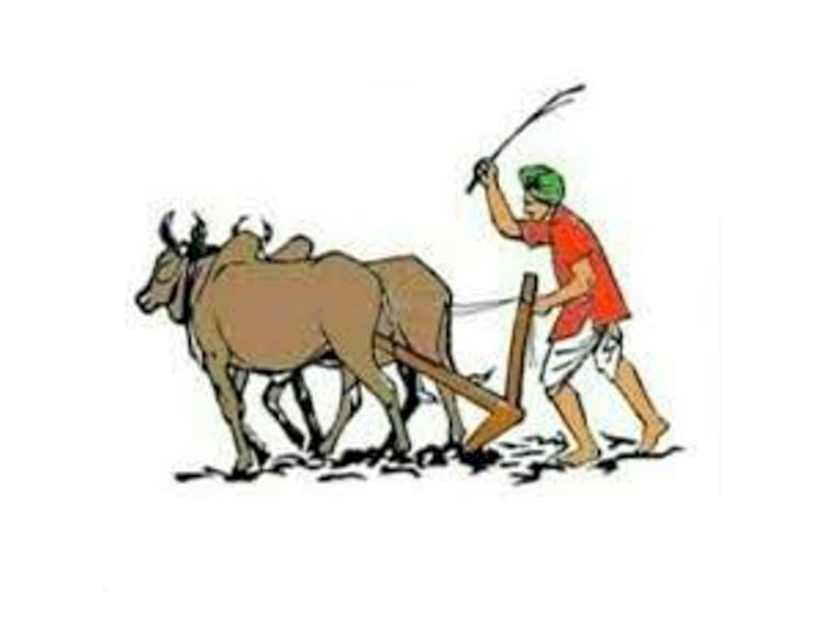 सिद्धेवाडी येथील ग्रामस्थांच्या वतीने यंदाचे प्रगतशील शेतकरी , कृषी श्रमिक पुरस्कार जाहीर..