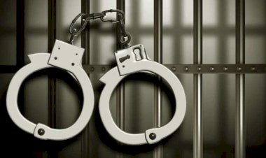 नवीन लाईट मिटर घेवून देण्याच्याखाली फसवणूक करणारा ताब्यात...