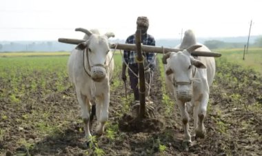 शेतजमिनीच्या ताब्यावरील वाद मिटवणारी महाराष्ट्र सरकारची सलोखा योजना..