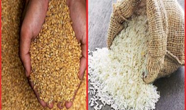 पंढरपूर तालुक्यातील १ लाख ५२ हजार ७२७ नागरिकांना मिळणार मोफत धान्य..