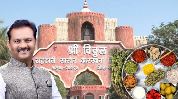 विठ्ठल चे, चेअरमन अभिजीत पाटील यांच्या गडावर हुरडा पार्टीचे आयोजन