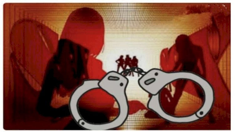 मंगळवेढा पोलीसांचा अवैध्य वेश्या व्यवसायावर छापा :एका पिडीत मुलीसह आरोपीस ताब्यात घेतले..