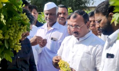 नुकसानग्रस्त पिकांचे तात्काळ पंचनामे करा - आमदार समाधान आवाताडे