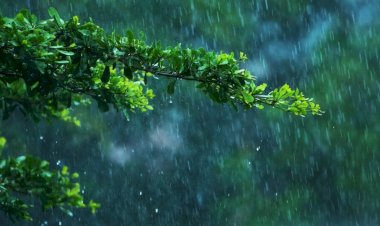 जिल्ह्यात ७ एप्रिलला ऑरेंज अलर्ट,  खबरदारीच्या उपाययोजना करण्याचे जिल्हा प्रशासनाचे आवाहन