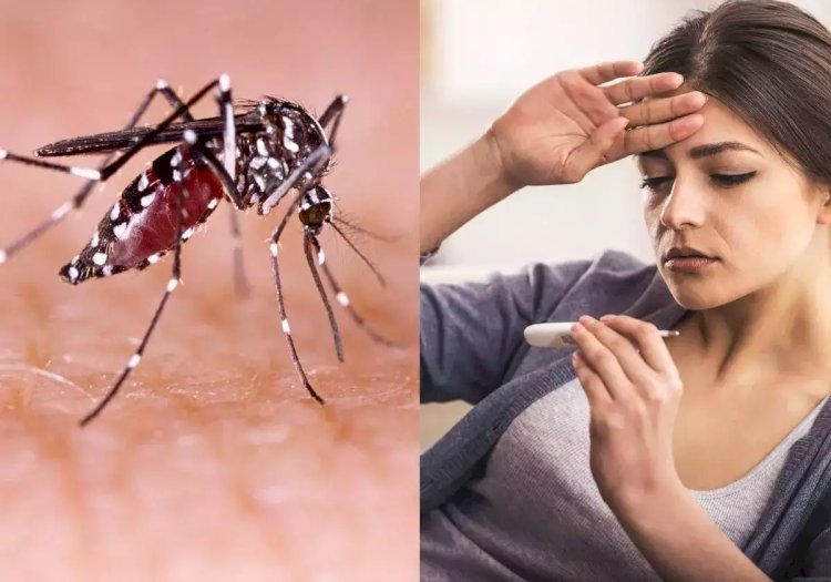 हिवताप / डेंग्यू नागरिकांनी काय काळजी घ्यावी जागतिक हिवताप दिनानिमित्त २५ एप्रिल रोजी विशेष जनजागृती मोहिमेचे आयोजन - डॉ. एकनाथ बोधले