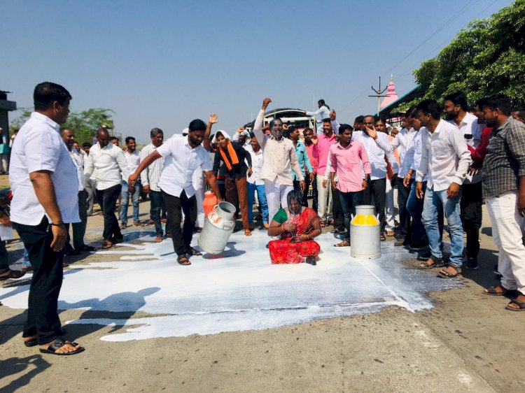 दूध उत्पादक शेतकऱ्यांच्या बाबतीत सरकार आंधळ्याची भूमिका घेत आहे - स्वाभिमानीचे सचिन आटकळे .