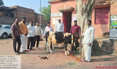 आमदार समाधान आवताडे यांच्या वाढदिवसानिमित्त भालेवाडी  पशुवैद्यकीय शिबिर संपन्न...