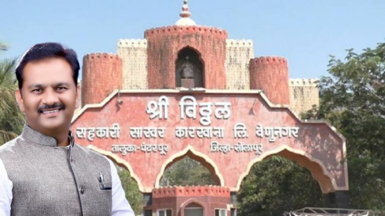 श्री. विठ्ठल  सहकारी कारखाना कार्यस्थळावर हुरडा पार्टीचे आयोजन- चेअरमन अभिजीत पाटील