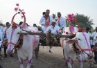 भंडीशेगाव येथे माजी आमदार प्रशांत परिचारक यांचे "गाव चलो अभियानास, नागरिकांचा उस्फूर्त प्रतिसाद