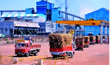 आचारसंहितेपूर्वी १,९०० कोटींची कर्जहमी; सत्ताधाऱ्यांच्या साखर कारखान्यांसाठी घाईघाईने निर्णय,  सोलापूर जिल्ह्यातील श्री.संत दामाजी साखर कारखान्याचा समावेश ( मंगळवेढा).