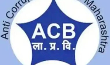 पंढरपूर तहसीलदार कार्यालयातील खाजगी इसम 1000 हजाराच्या लाच प्रकरणी अँटी करप्शन च्या जाळ्यात, महसूल विभागात उडाली एकच खळबळ, आवारात दिवसभर चर्चा