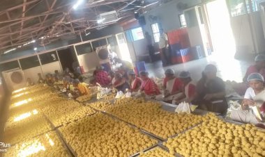 पंढरपूर चैत्री वारीत तीन लाख बुंदी लाडू प्रसाद व 50 हजार राजगिरा लाडू प्रसादाची उपलब्धी; - कार्यकारी अधिकारी राजेंद्र शेळके.