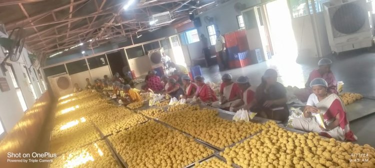 पंढरपूर चैत्री वारीत तीन लाख बुंदी लाडू प्रसाद व 50 हजार राजगिरा लाडू प्रसादाची उपलब्धी; - कार्यकारी अधिकारी राजेंद्र शेळके.