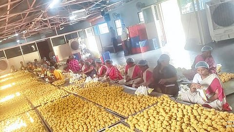 पंढरपूर माघी यात्रेसाठी  लाख बुंदी लाडू प्रसादाची निर्मिती   अन्न व औषध प्रशासनाच्या नियम व अटीचे पालन करून प्रसादाचे उत्पादन