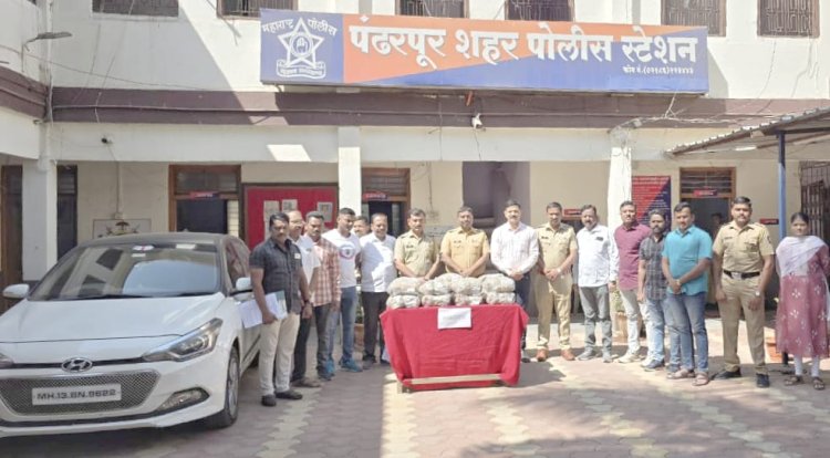 पंढरपुर शहर गुन्हे प्रकटीकरण शाखेची गांजा वाहतुकीवर पुन्हा धडाकेबाज कारवाई,  ◼️३२ किलो गांजा व एक कार सह १४,४२,६८० रू किंमतीचा मुददेमाल जप्त,  ◼️पंढरपूर - मंगळवेढा हायवे रोडवरील गोपाळपूर येथील प्रकार