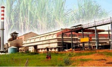 पंढरपुरात जिल्हा साखर कामगार समन्वय समितीची बैठक संपन्न..   कामगारांच्या हिताच्या दृष्टीने विविध प्रश्नावर झाली चर्चा