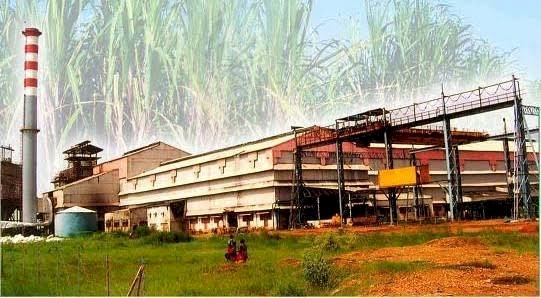 पंढरपुरात जिल्हा साखर कामगार समन्वय समितीची बैठक संपन्न..   कामगारांच्या हिताच्या दृष्टीने विविध प्रश्नावर झाली चर्चा
