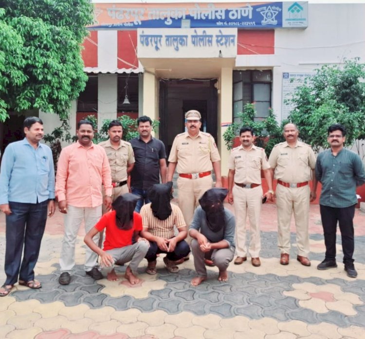 पंढरपूर तालुका पोलीस स्टेशनची मोठी कारवाई   जबरी चोरी करणारे तीन आरोपींना 12 तासात गजाआड केले.
